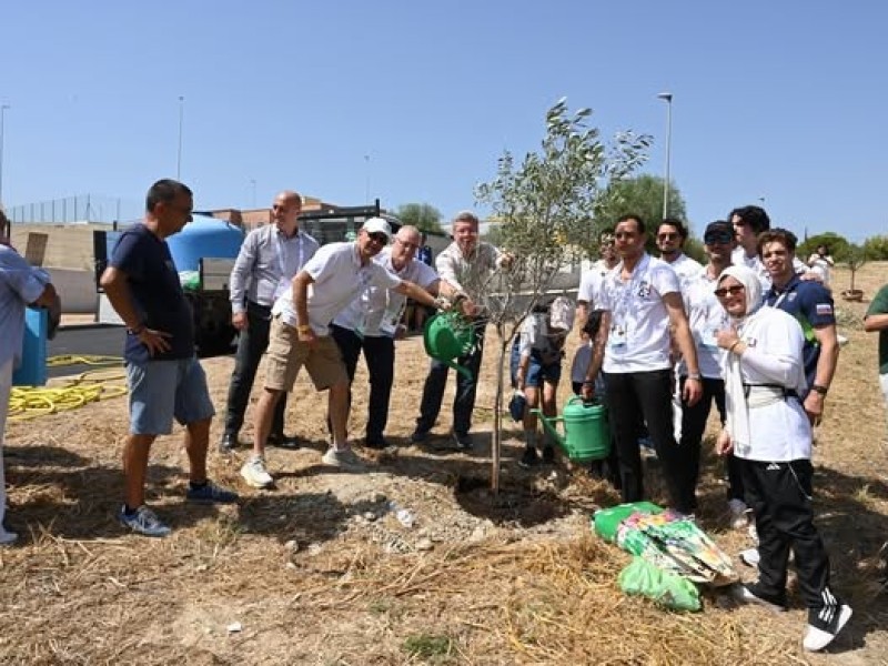 Growing a Legacy of Fair Play: The Mediterranean Athletes’ Forest